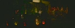 IMG_1881