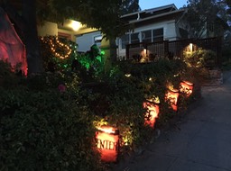 IMG_4001 (1)