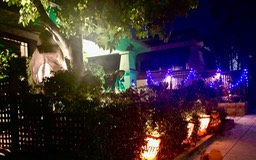 IMG_5981