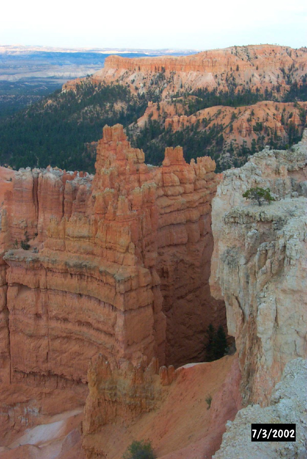 P0001382