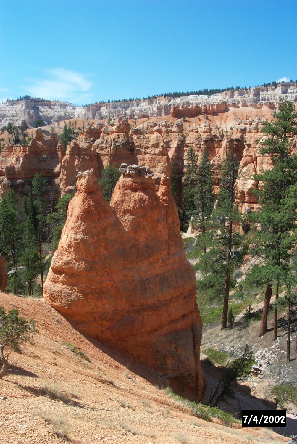 P0001394