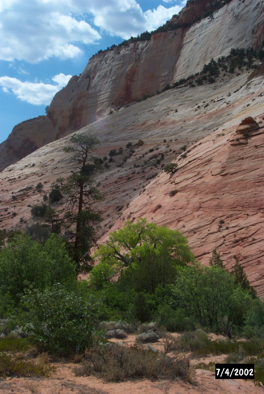 P0001409