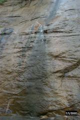 P0001424