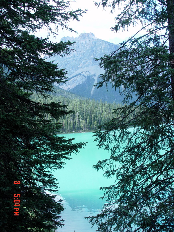Yoho Terminal Morraine and Lake