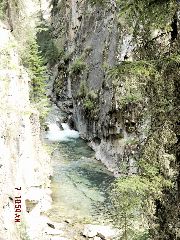Johnston Creek