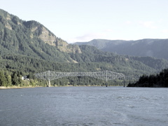 DSC00393