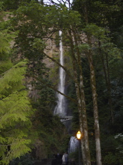 DSC00443